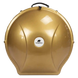 Gold Hardcase for handpans