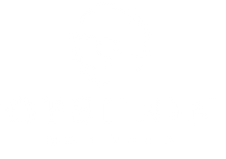 Opsilon Handpan