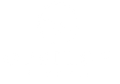 Opsilon Logo Weiß